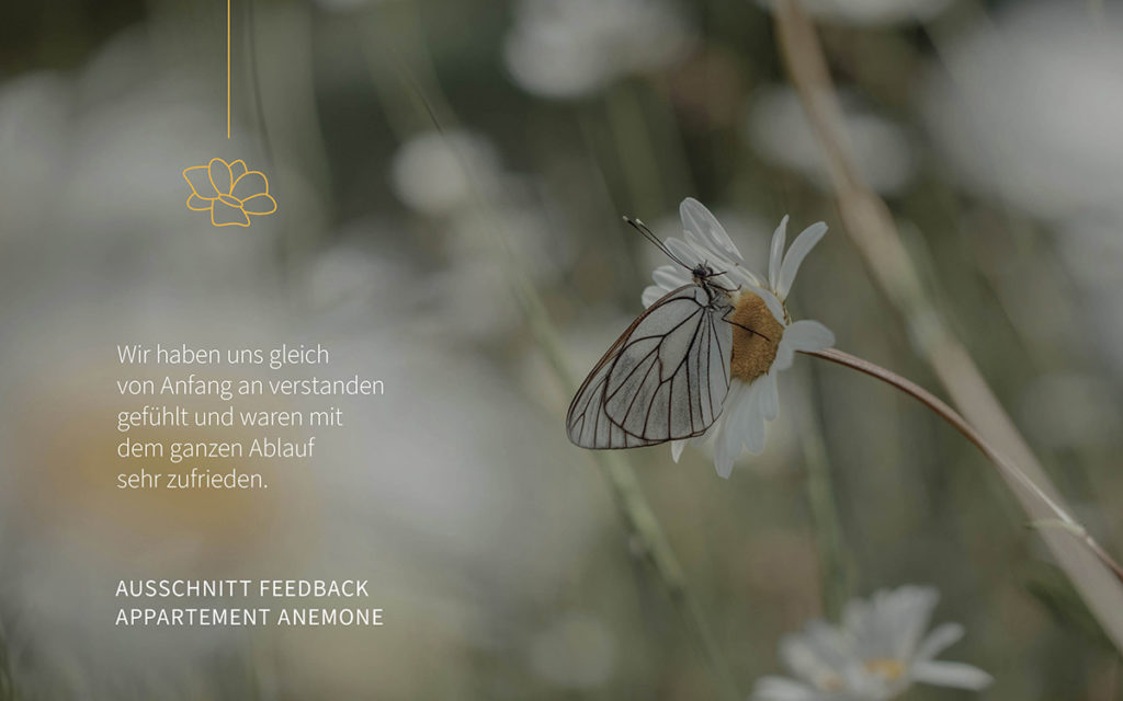 grafikatelier-montafon-branddesign-webdesign-grafikdesign-projekte22